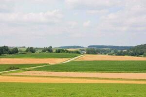 toneel- landelijk visie foto