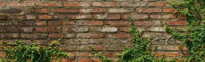 Liaan Aan muur steen achtergrond structuur rood oud wijnoogst grunge foto