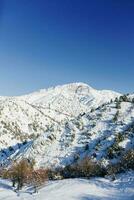 besneeuwd berg pieken gedekt met sneeuw Aan een ijzig winter dag foto