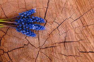 lavendel bloemboeket op hout achtergrond foto