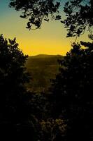 mooi zonsondergang met silhouet van bomen en kleurrijk lucht foto