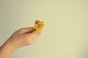klein origineel geel bloem gehouden in de hand- van een kind Aan een licht achtergrond foto