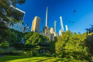 centraal park in nieuw york stad Verenigde Staten van Amerika foto
