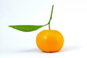 geel mandarijn mandarijn- oranje foto