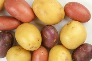 rood Purper geel multi tri kleur klein baby aardappel Aan wit achtergrond foto
