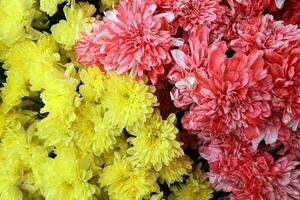 kleur pijn gedoopt bloemen voor tempel aanbidden aanbieden foto