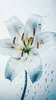 dichtbij omhoog beeld van bloesem lelie bloem met water druppels. generatief ai. foto