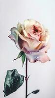 opvallend beeld van water druppels zacht kleur roos bloem stang. generatief ai. foto