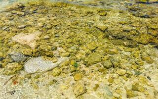 stenen rotsen koralen turkoois groen blauw water Aan strand Mexico. foto