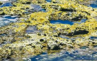 stenen rotsen koralen turkoois groen blauw water Aan strand Mexico. foto