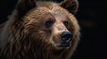 de stoïcijns wijsheid van de Kodiak beer foto