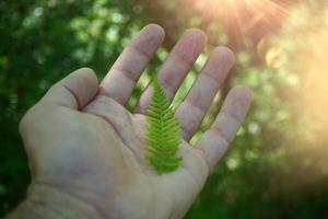 hand met groen blad, de natuur voelen foto