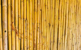 bamboe hout muur en poort structuur in puerto escondido Mexico. foto