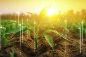 agrarisch technologieën voor groeit planten en wetenschappelijk Onderzoek in de veld- van biologie en chemie van natuur. leven groen spruit in de handen van een boer, genereren ai foto
