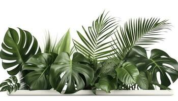 binnen- groen tropisch bladeren monstera sier- plant, genereren ai foto