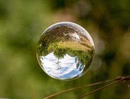 glazen bol zweeft tussen grassprietjes met gespiegelde bomen en bewolkte hemel foto