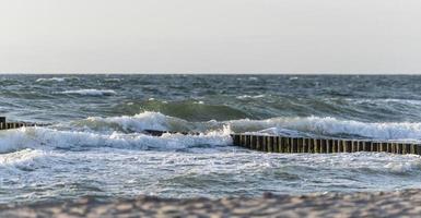golven spoelden rond boomstammen op de Baltische kust in het zand foto