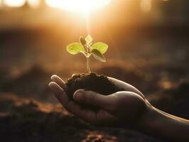 een kind Holding een fabriek in hun handen met een groen achtergrond en zonlicht schijnend door de bladeren Aan de plant, genereren ai foto