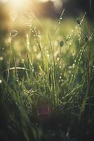 een dichtbij omhoog van gras met dauw druppels Aan het en een wazig achtergrond van de gras en de zon schijnend door de druppels van de gras Aan de gras is een zonnig dag licht. generatief ai foto