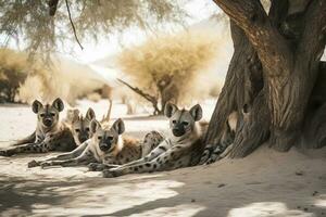 een jong gevlekte hyena pup resting in de schaduw , genereren ai foto