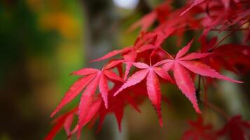 herfst rood bladeren achtergrond. illustratie ai generatief foto