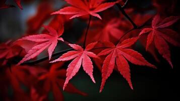 herfst rood bladeren achtergrond. illustratie ai generatief foto