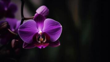 orchidee bloem. illustratie ai generatief foto