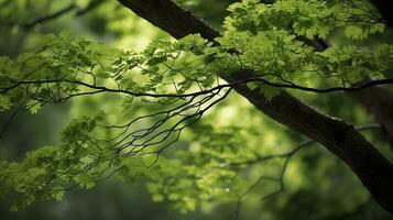 aarde dag en wereld milieu dag, lente, tropisch boom bladeren en Afdeling met mooi groen Woud achtergrond, genereren ai foto