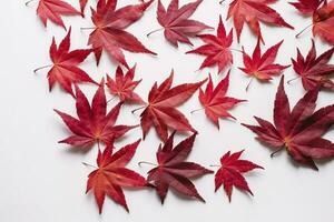rood esdoorn- bladeren geïsoleerd Aan wit achtergrond, genereren ai foto