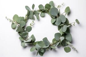 krans gemaakt van eucalyptus takken. groen bloemen kader gemaakt van eucalyptus bladeren. decoratief krans geïsoleerd Aan wit. minimaal natuurlijk samenstelling, botanisch ontwerp, vlak leggen, top visie. ai gegenereerd foto