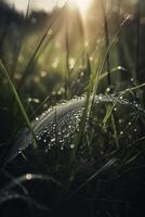 een dichtbij omhoog van gras met dauw druppels Aan het en een wazig achtergrond van de gras en de zon schijnend door de druppels van de gras Aan de gras is een zonnig dag licht. generatief ai foto