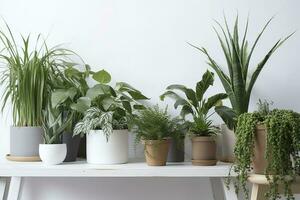 groen kamerplanten in potten en gieter kan Aan houten tafel in de buurt wit muur , genereren ai foto