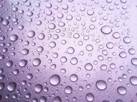 regen dauwdruppel op een paarse kleur achtergrond foto