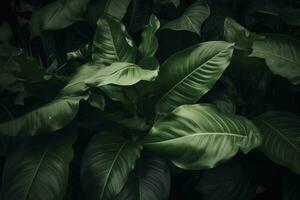 abstract groen blad textuur, natuur achtergrond, tropisch blad , genereren ai foto