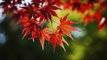 mooi herfst landschap met. kleurrijk gebladerte in de park. vallend bladeren natuurlijk achtergrond, genereren ai foto