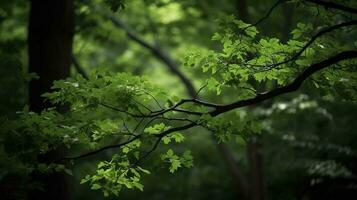 aarde dag en wereld milieu dag, lente, tropisch boom bladeren en Afdeling met mooi groen Woud achtergrond, genereren ai foto