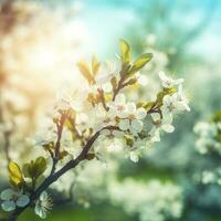 voorjaar bloesem achtergrond. natuur tafereel met bloeiend boom en zon gloed. voorjaar bloemen. mooi boomgaard, licht blauw achtergrond , genereren ai foto