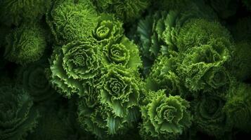 aarde dag en wereld milieu dag, lente, tropisch boom bladeren en Afdeling met mooi groen Woud achtergrond, genereren ai foto