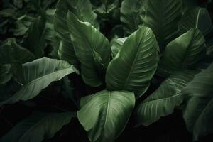 abstract groen blad textuur, natuur achtergrond, tropisch blad , genereren ai foto