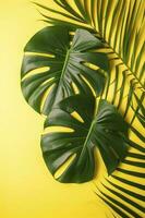 mooi tropisch palm monstera bladeren Afdeling geïsoleerd Aan pastel geel achtergrond, top visie, vlak leggen, overhead bovenstaand zomer schoonheid blanco ontwerp concept , genereren ai foto
