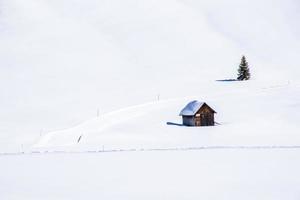 houten hut en dennen in de sneeuw