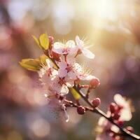voorjaar bloesem achtergrond. mooi natuur tafereel met bloeiend boom en zon gloed , genereren ai foto