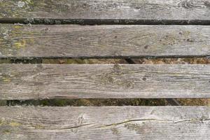 oude rotte houten planken begroeid met mos foto