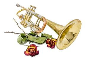 oude verroeste trompet met gedroogde rozen op wit wordt geïsoleerd foto