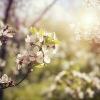 voorjaar bloesem achtergrond. mooi natuur tafereel met bloeiend boom en zon gloed , genereren ai foto