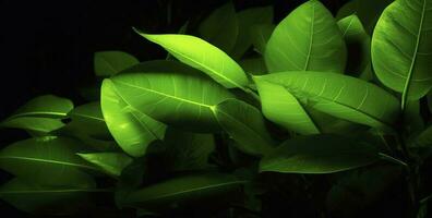 groen fluorescerend bladeren kopieerruimte, in de stijl van rtx Aan, avocadopunk, provia, velvia, genereren ai foto
