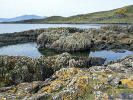 rotsachtig kustlijn Bij glencallum baai, eiland van maar, Schotland foto