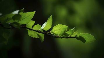 aarde dag en wereld milieu dag, lente, tropisch boom bladeren en Afdeling met mooi groen Woud achtergrond, genereren ai foto