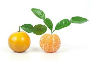 vers sinaasappels van tropisch zone ,zoet fruit foto