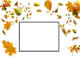 herfst achtergrond. herfst bladeren en kader voor tekst foto